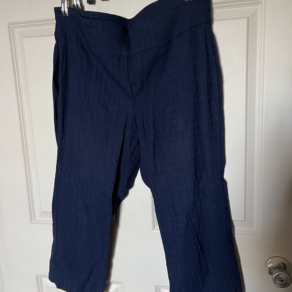 Roz & Ali Deep Blue Textured Capris